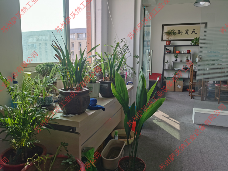 公司实景